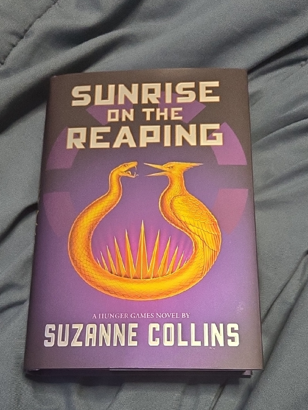Hunger Games-Sunrise on the Reaping